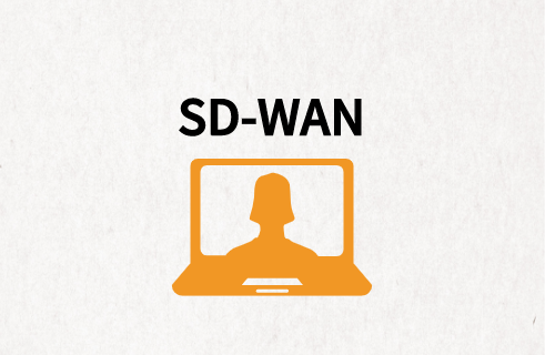 智能網(wǎng)絡優(yōu)化SD-WAN