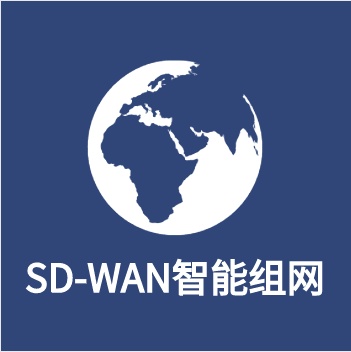 SD-WAN智能組網