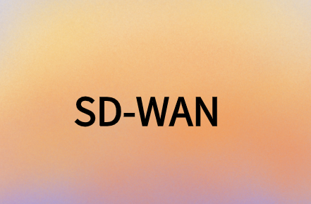 SD-WAN提供安全、靈活且經(jīng)濟(jì)高效的解決方案