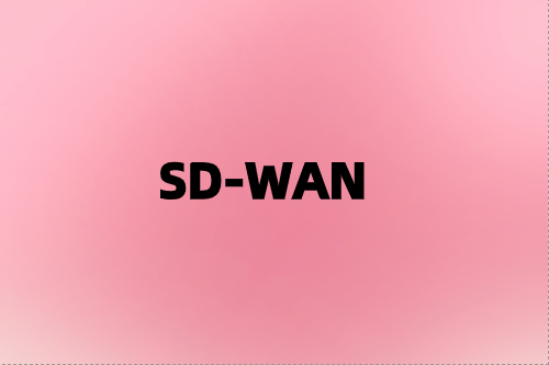 利用SD-WAN網(wǎng)絡(luò)彈性增強您的業(yè)務(wù)