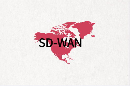 SD-WAN組網(wǎng)