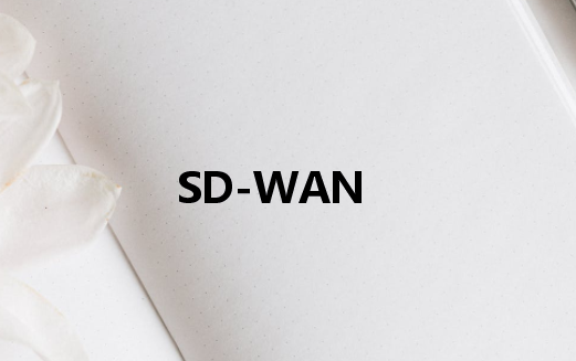 專(zhuān)用網(wǎng)絡(luò)SD-WAN