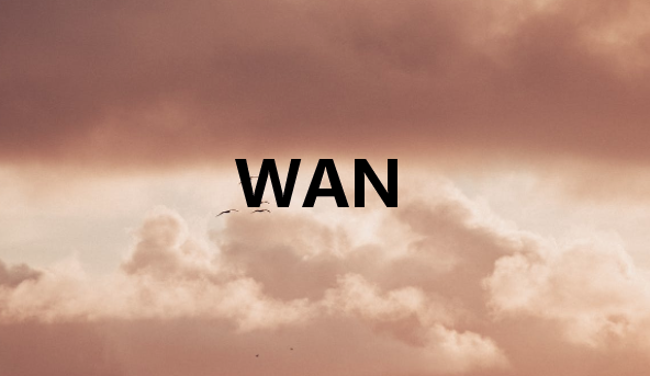 廣域網(wǎng)(WAN)如何工作?