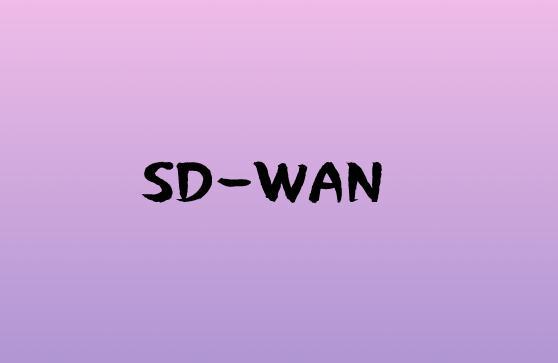 SD-WAN對于云的關鍵作用