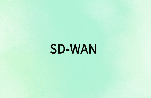 SD-WAN 與遠(yuǎn)程用戶