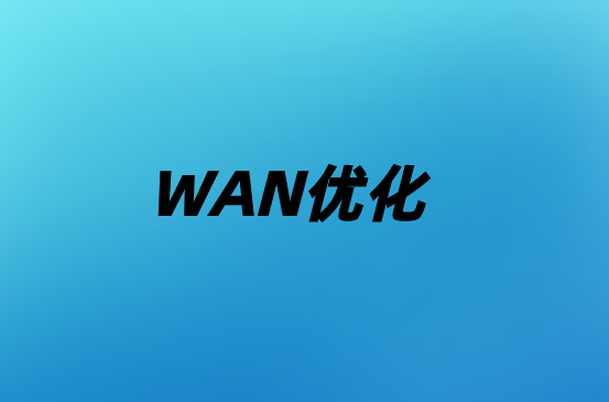 通過WAN優(yōu)化避免性能不穩(wěn)定的慢速網絡